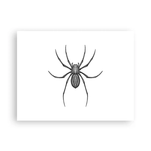 Poszter - Zavaró precizitás - 40x30 cm