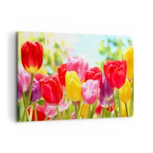 Vászonkép - Mi vagyunk, a május színei! - 120x80 cm