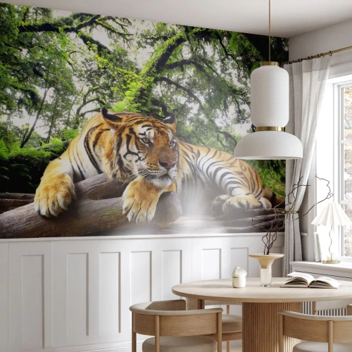 Fotótapéta Premium Sand - Tisztelettel - Tigris, Állatok, Ragadozó - 200x140 cm