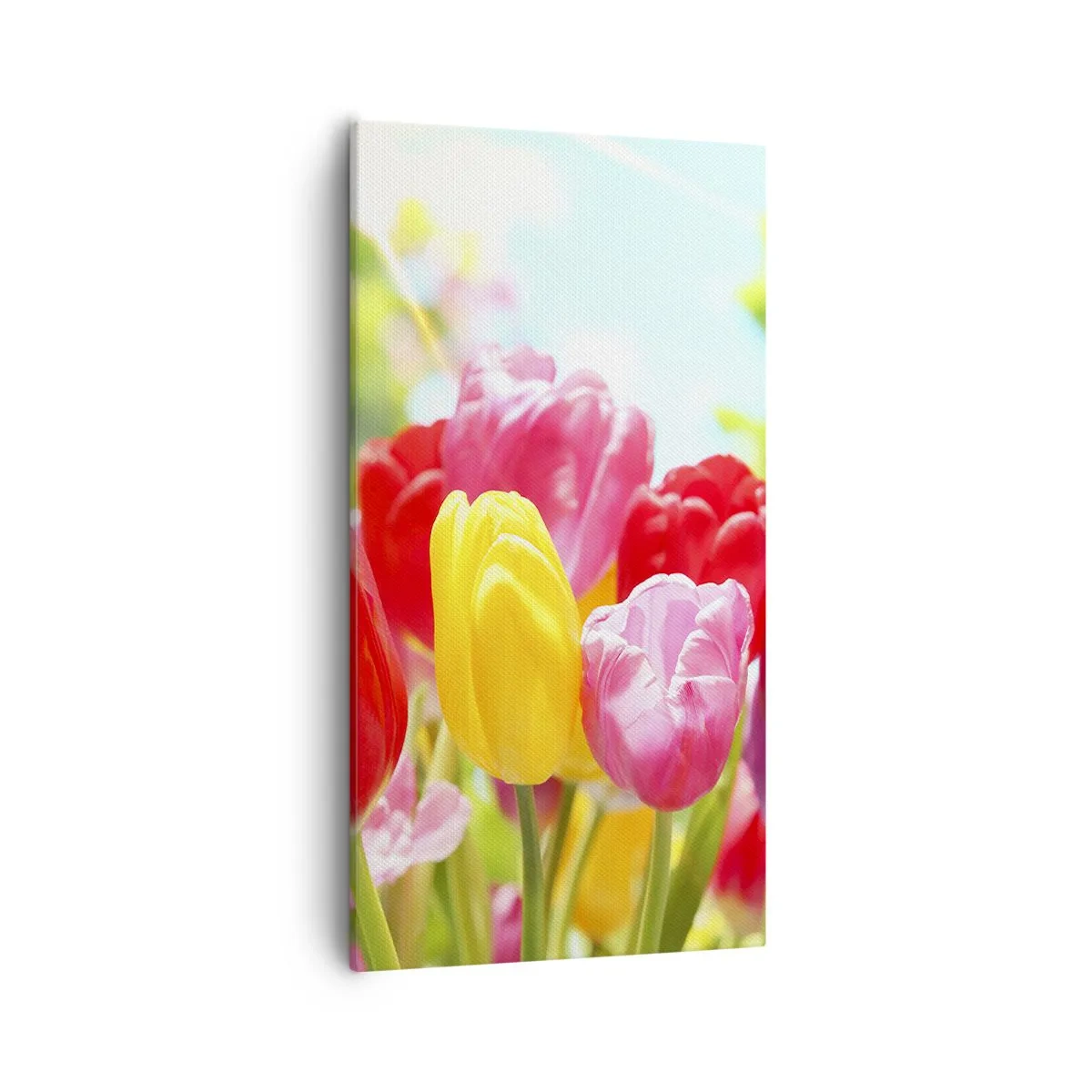 Vászonkép - Mi vagyunk, a május színei! - 55x100 cm