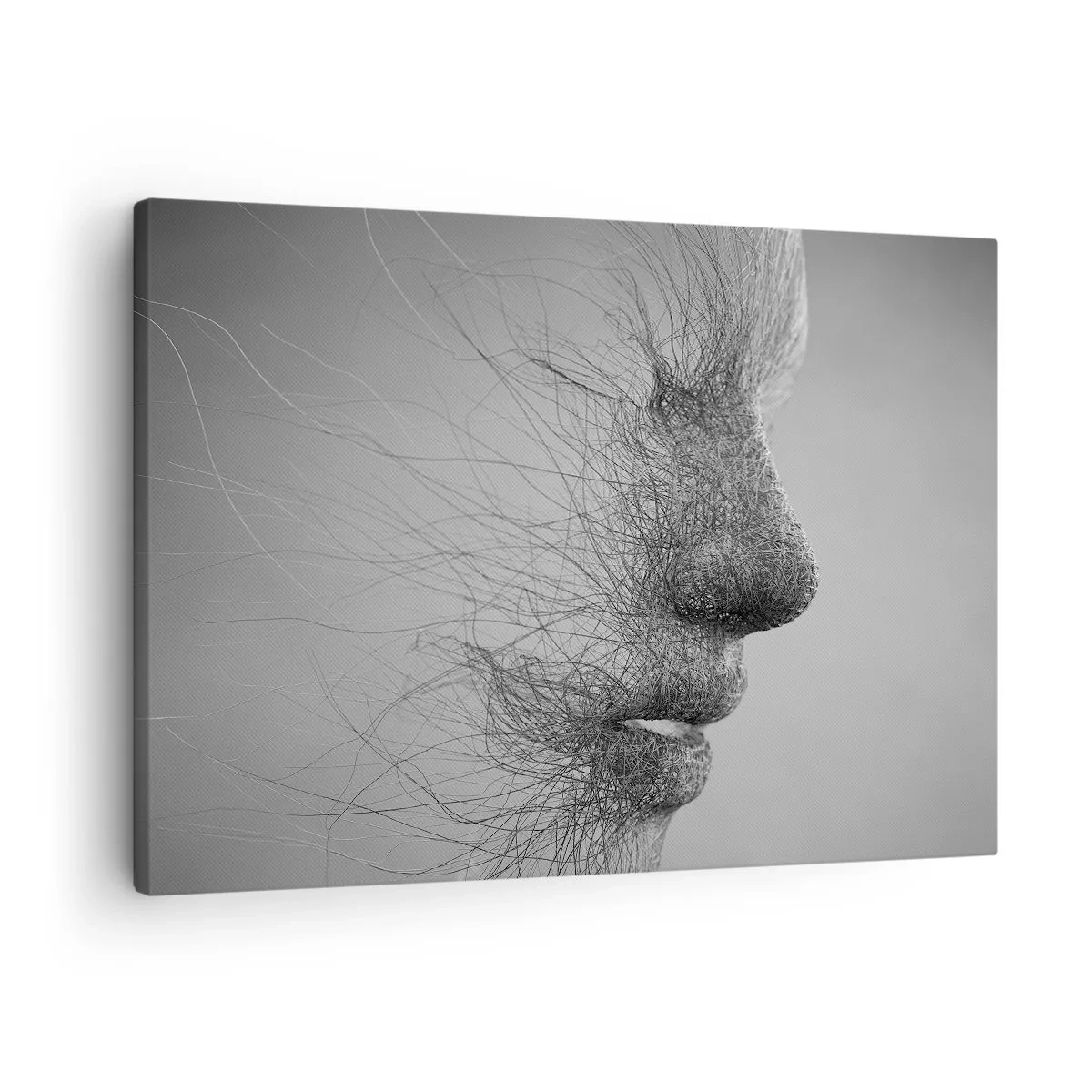 Vászonkép - Művészi arcprofil finom vonalakkal - 70x50cm - A szél szelleme - Modern fali dekoráció nappalihoz és hálószobához ARTTOR