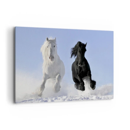 Vászonkép - Fekete-fehér galopp - 120x80 cm