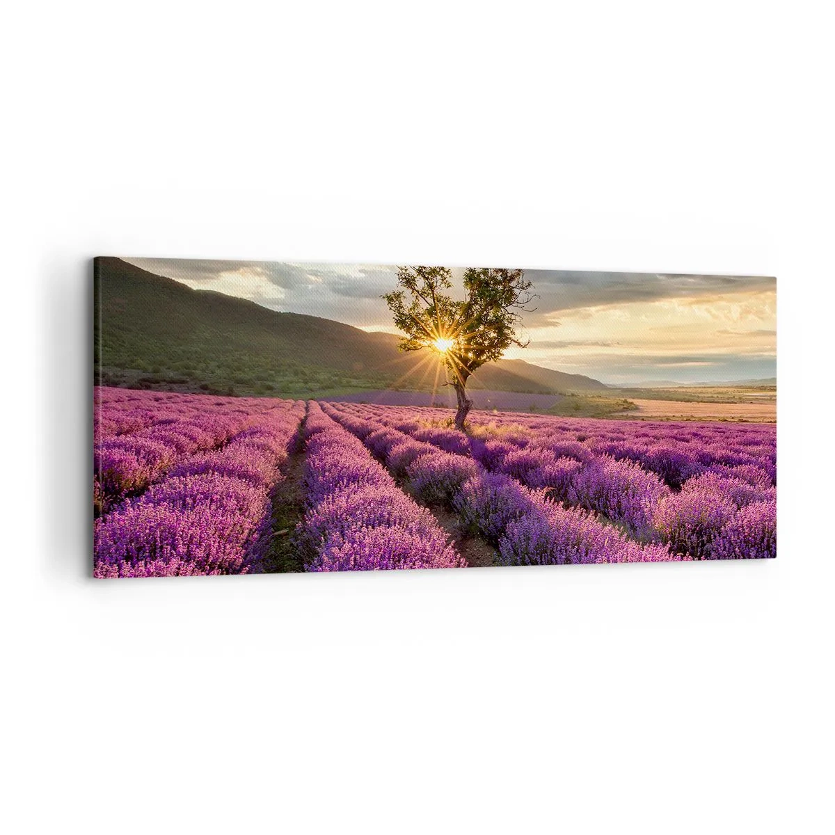 Vászonkép - Lila színű illat - 120x50 cm