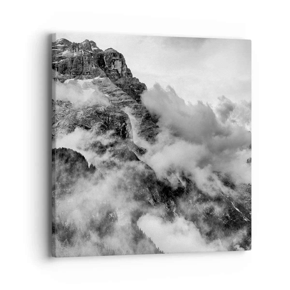 Vászonkép - Gyönyörű és kegyetlen - 40x40 cm