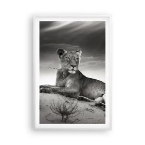 Poszter fekete keretben - A sivatagi királynő pihenése - 61x91 cm