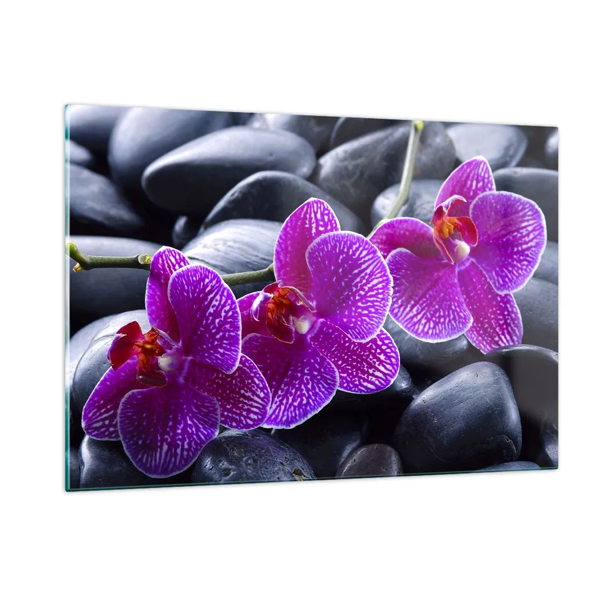 Üveg kép - A kövek kivilágosodtak az örömtől - 120x80 cm