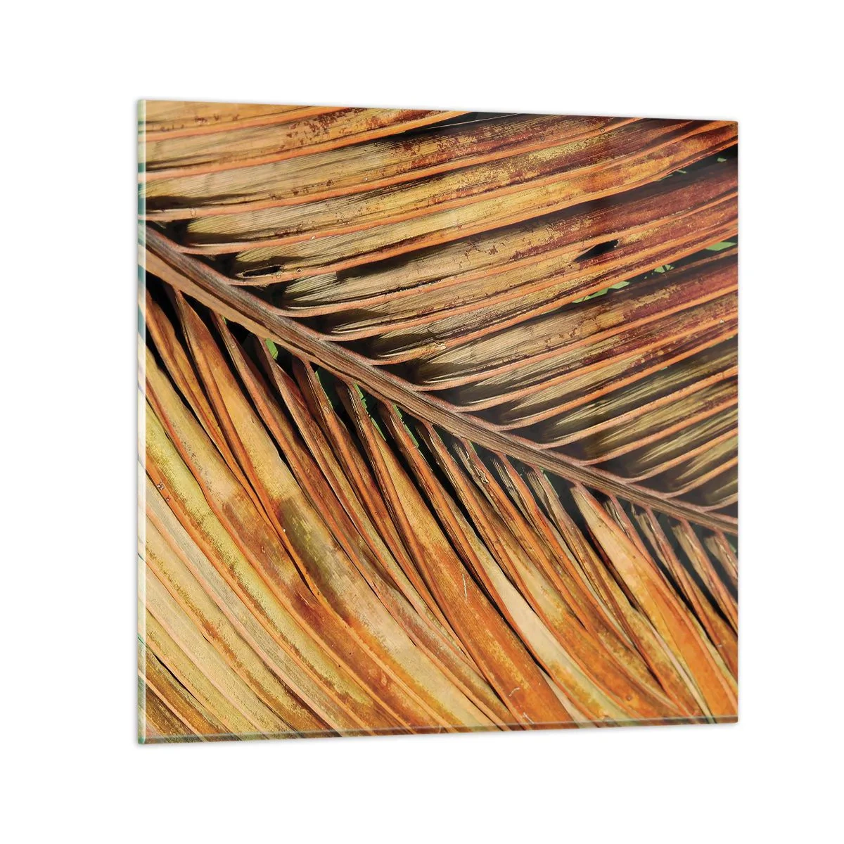 Üveg kép - Kókusz aranya - 60x60 cm