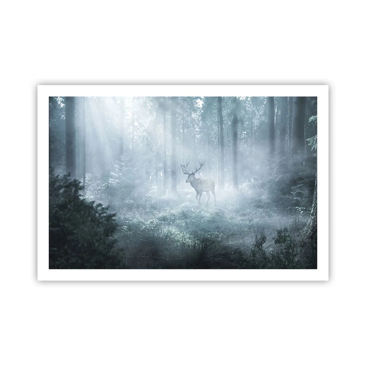 Poszter - Reggeli birtokellenőrzés - 91x61 cm