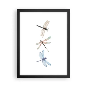 Poszter fehér keretben - Súlytalan szitakötők - 30x40 cm