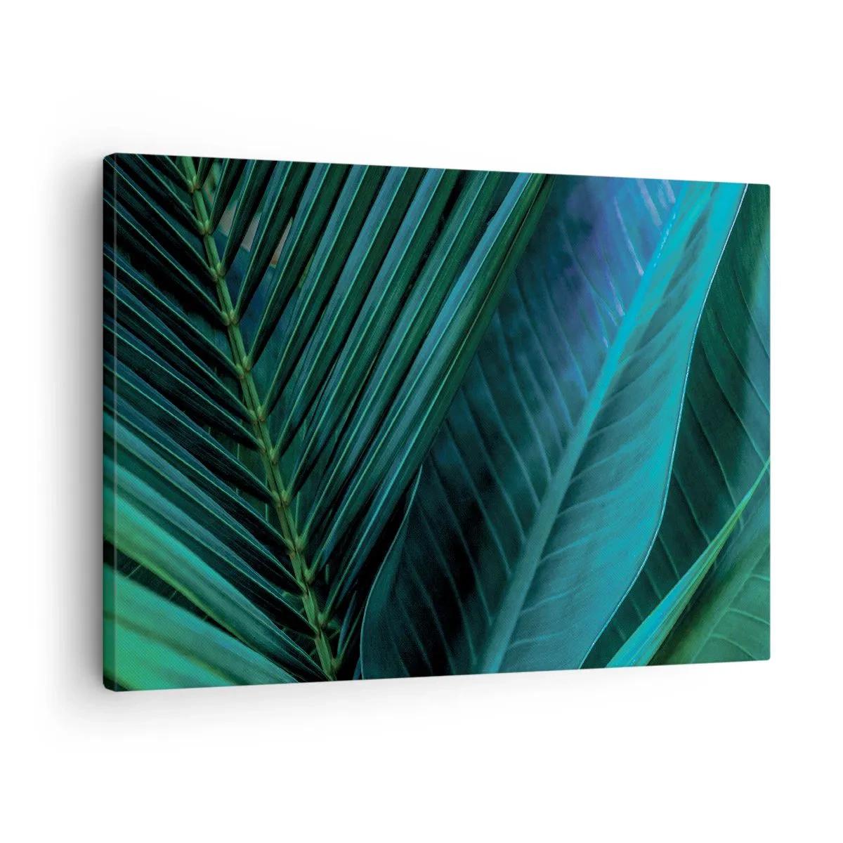 Vászonkép - Trópusi zöld levelek közeli képe - 70x50cm - A zöld anatómiája - Modern fali dekoráció nappalihoz és hálószobához ARTTOR