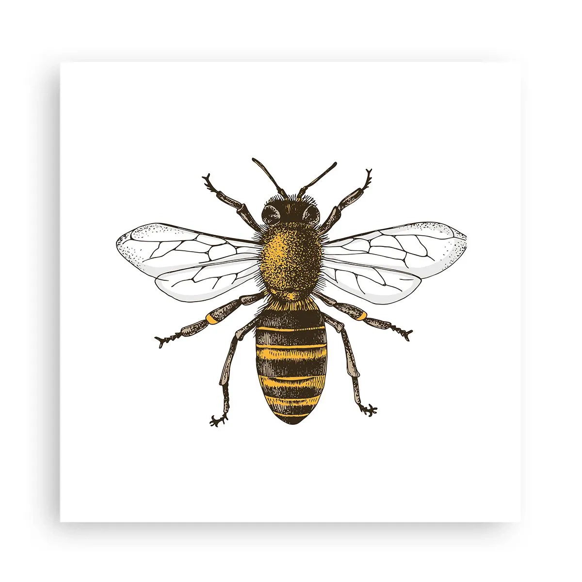 Poszter - Gyönyörű és jó - 30x30 cm