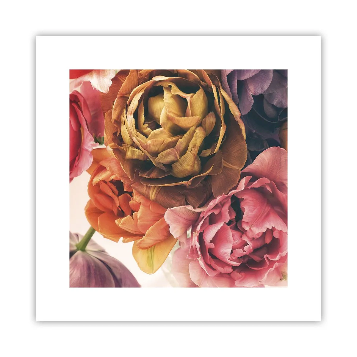 Poszter - Az élet ünnepe - 30x30 cm