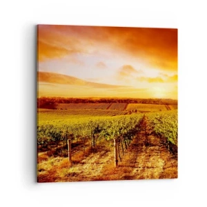 Vászonkép - Enyhén gyümölcsös, egy kis napfénnyel - 70x70 cm