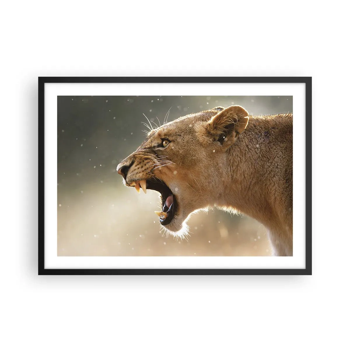 Poszter fehér keretben - Próbálj meg nem hallgatni - 70x50 cm