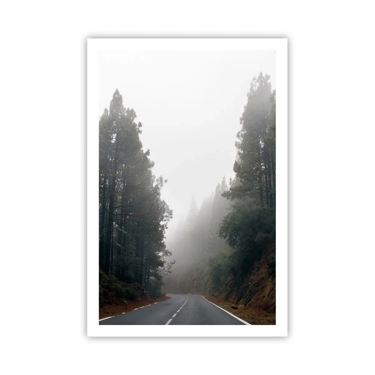 Poszter - Egy varázslatos erdő meséje - 61x91 cm