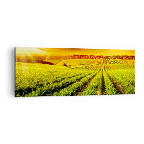 Vászonkép - Ausztrál nap alatt - 140x50 cm