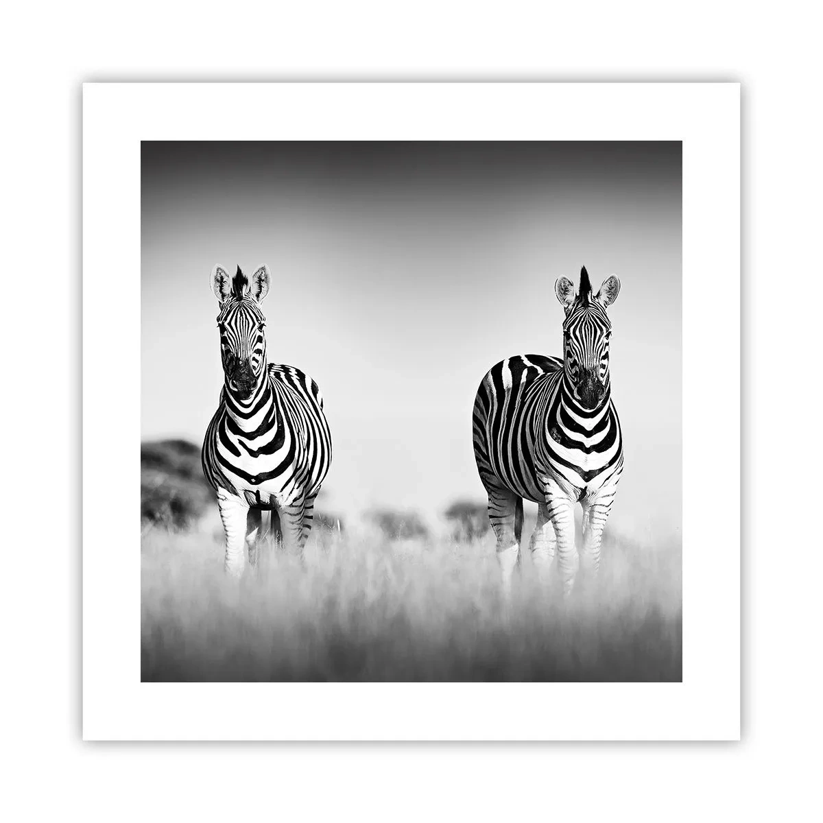 Poszter - A világ mégis fekete-fehér - 40x40 cm