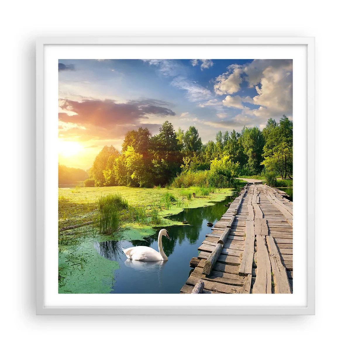 Poszter fekete keretben - Nyár, mindenhol nyár - 60x60 cm