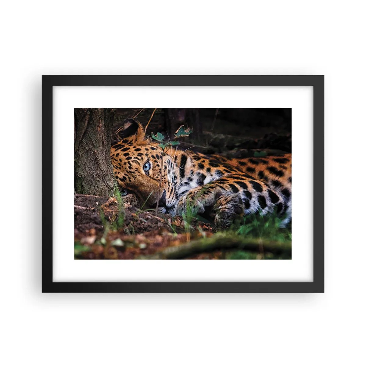 Poszter fehér keretben - Bízz bennem - 40x30 cm