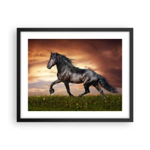 Poszter fehér keretben - Fekete herceg - 50x40 cm