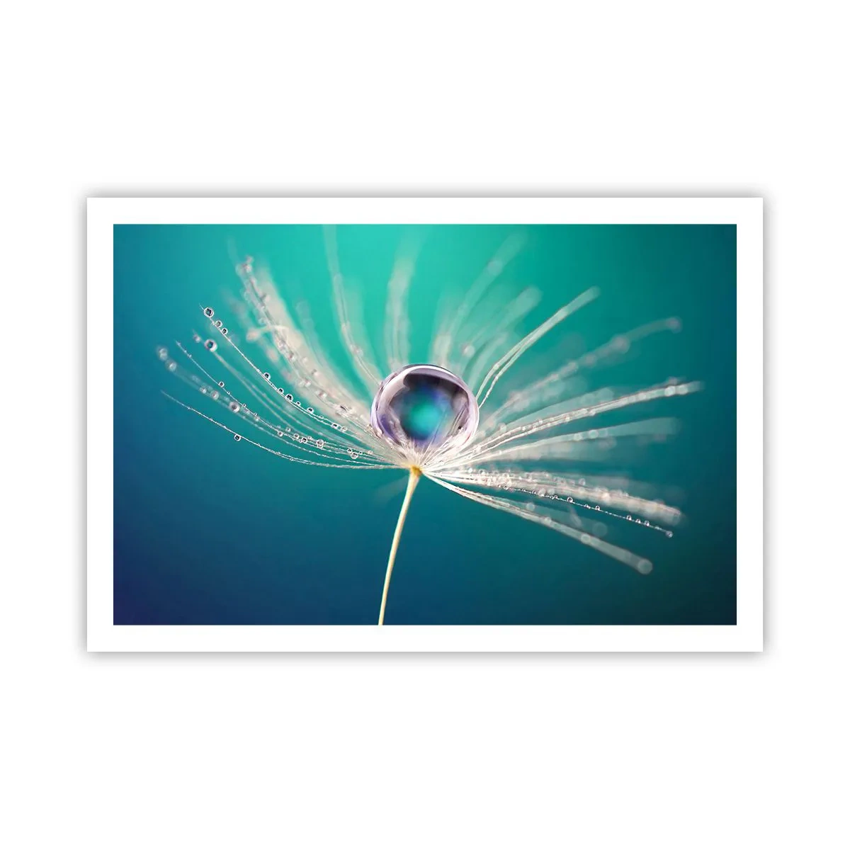 Poszter - Misztikus pillanat - 91x61 cm