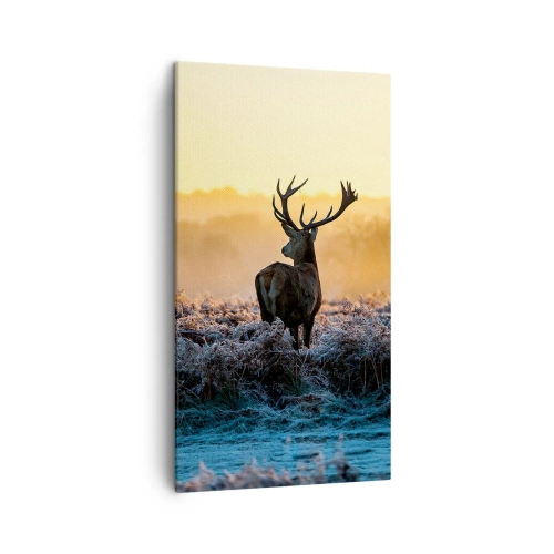 Vászonkép - Megkoronázott a birtokán - 45x80 cm