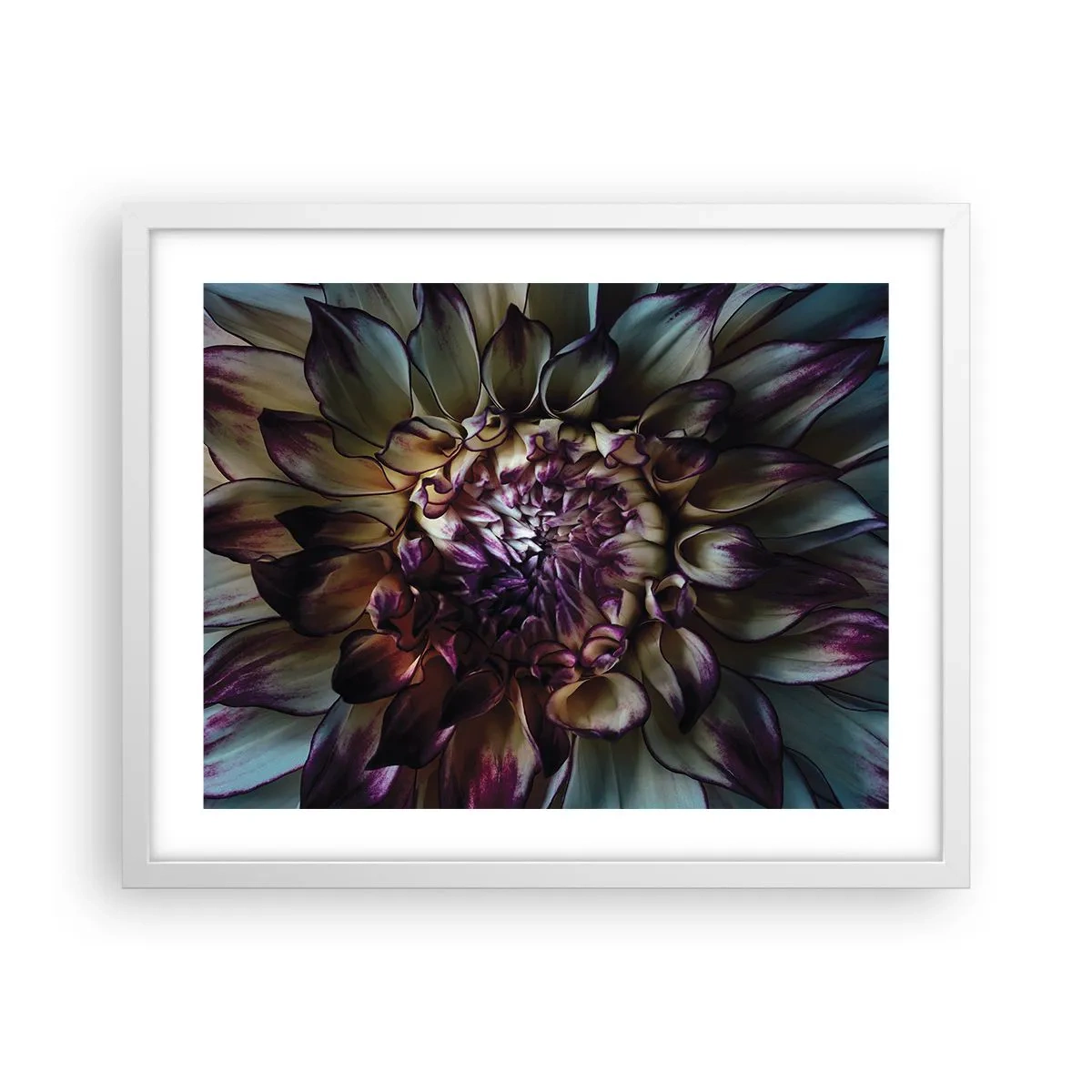 Poszter fekete keretben - A fiatalság kivirágzása - 50x40 cm
