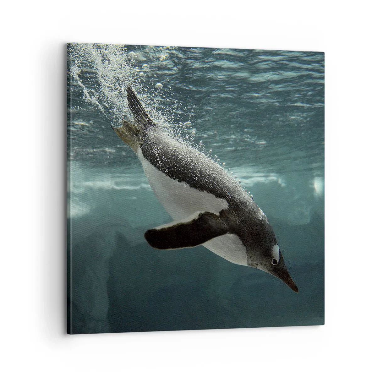 Vászonkép - Üdv a világomban - 60x60 cm