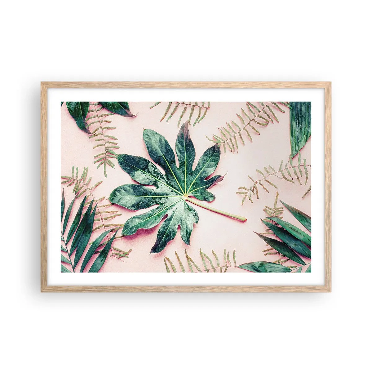 Poszter világos tölgy keretben - A zöld tanulmánya a rózsaszín háttérben - 70x50 cm