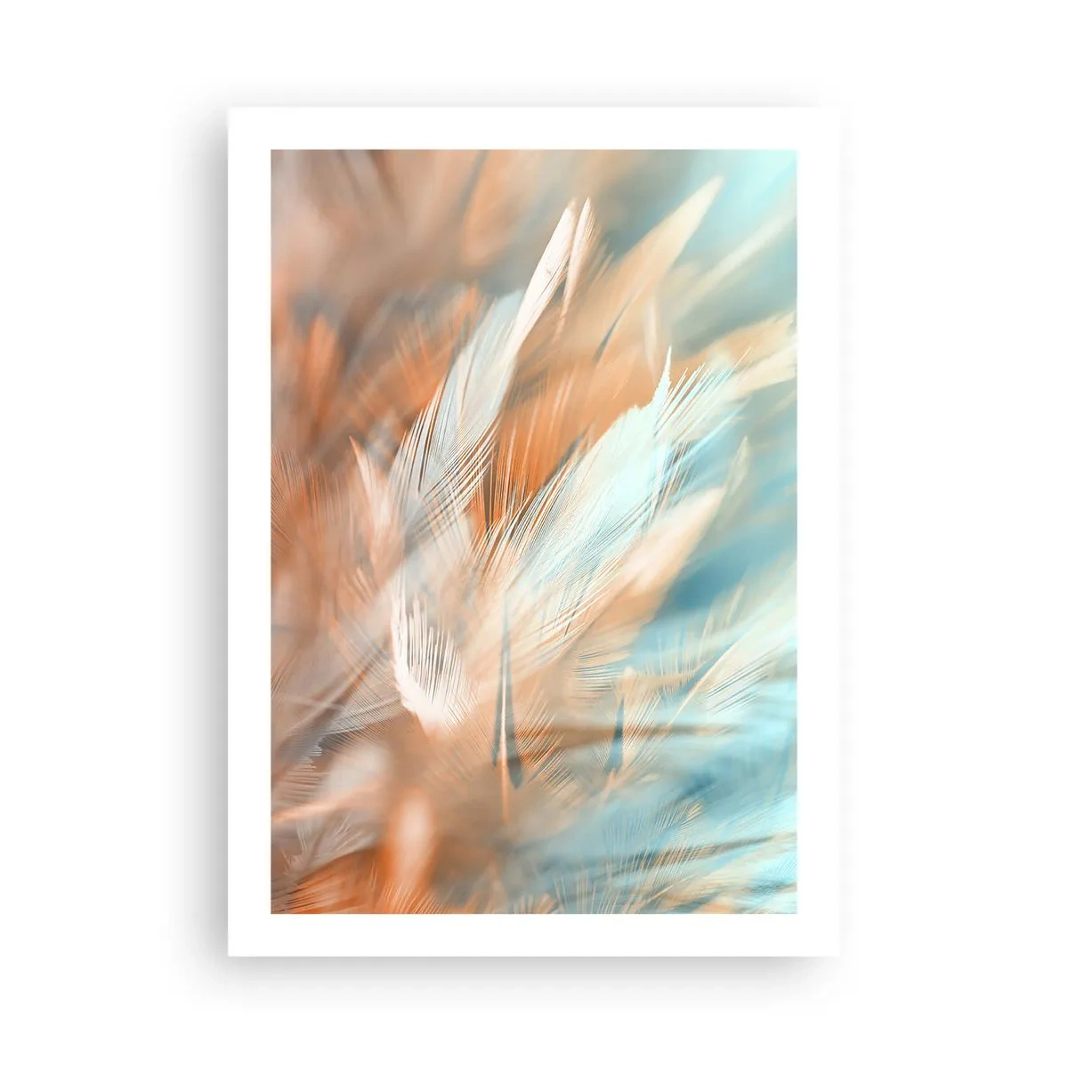 Poszter - A szelídség földjén - 50x70 cm