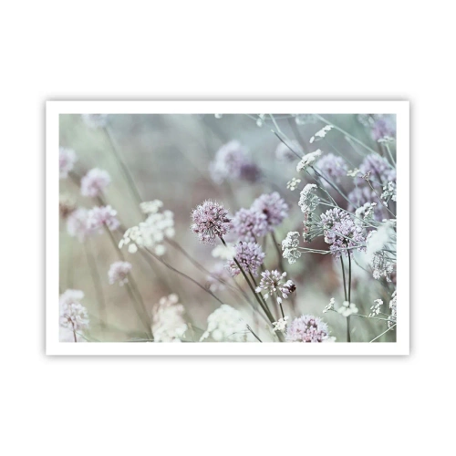 Poszter - Fűszerek édes filigránja - 100x70 cm