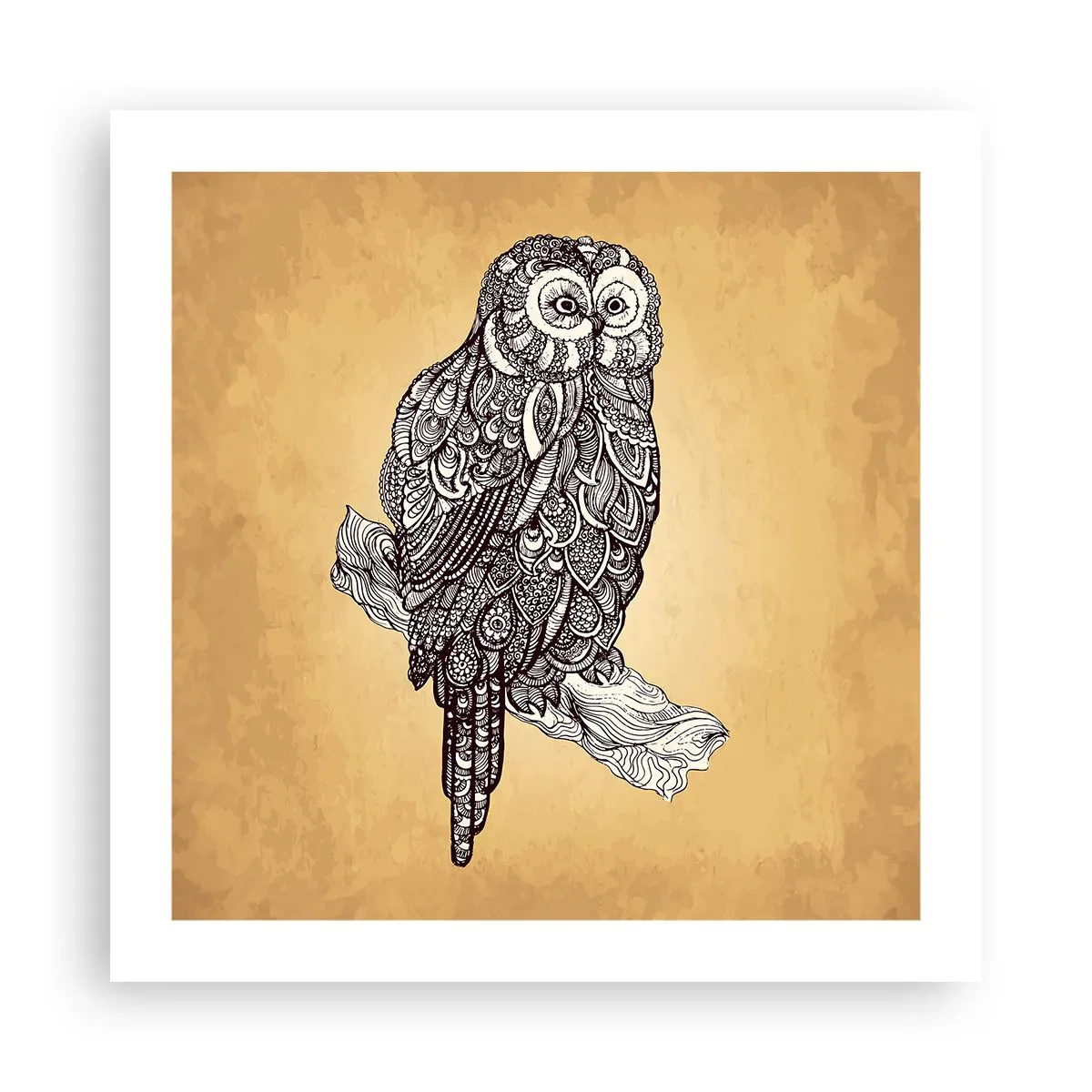 Poszter - A bölcsesség bonyolult díszei - 50x50 cm