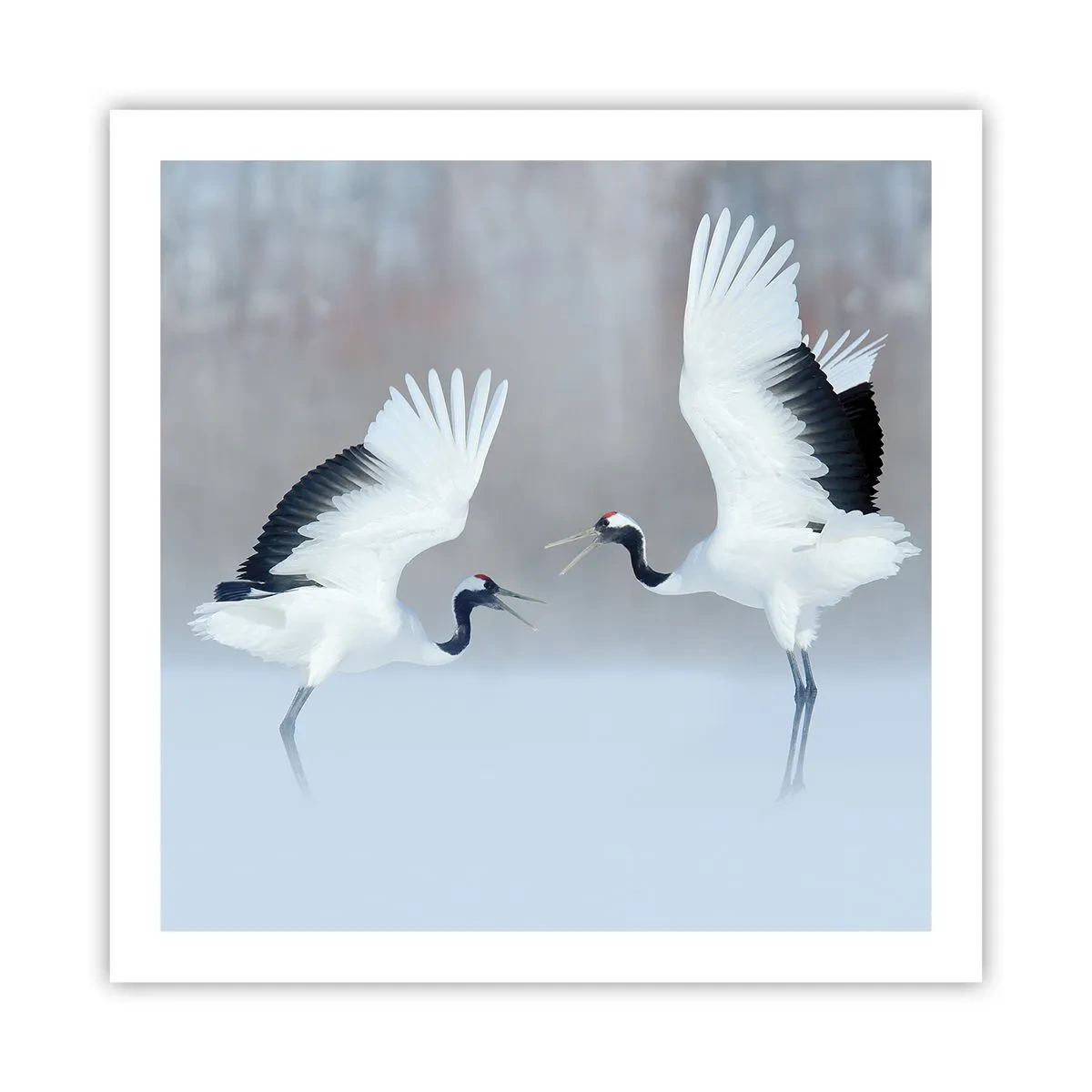 Poszter - Tánc a ködben - 60x60 cm