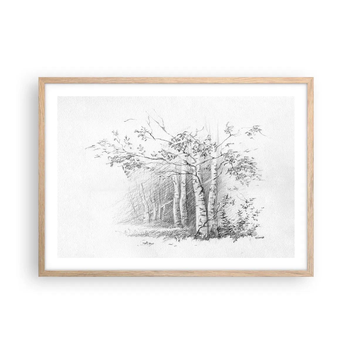 Poszter világos tölgy keretben - A nyírerdő fénye - 70x50 cm