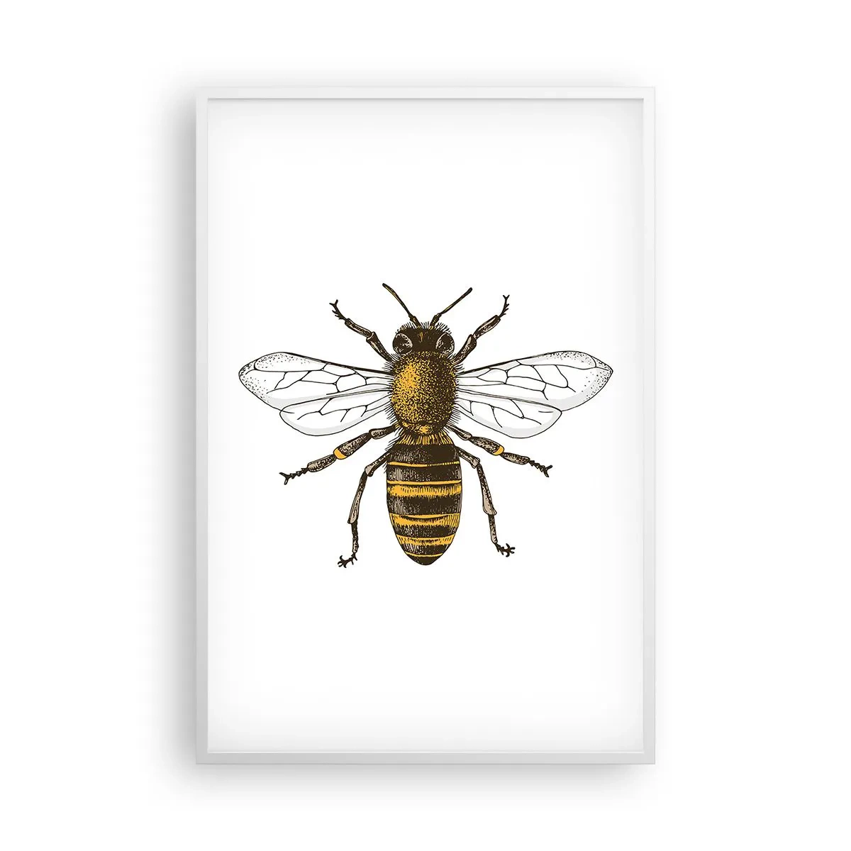 Poszter fekete keretben - Gyönyörű és jó - 61x91 cm