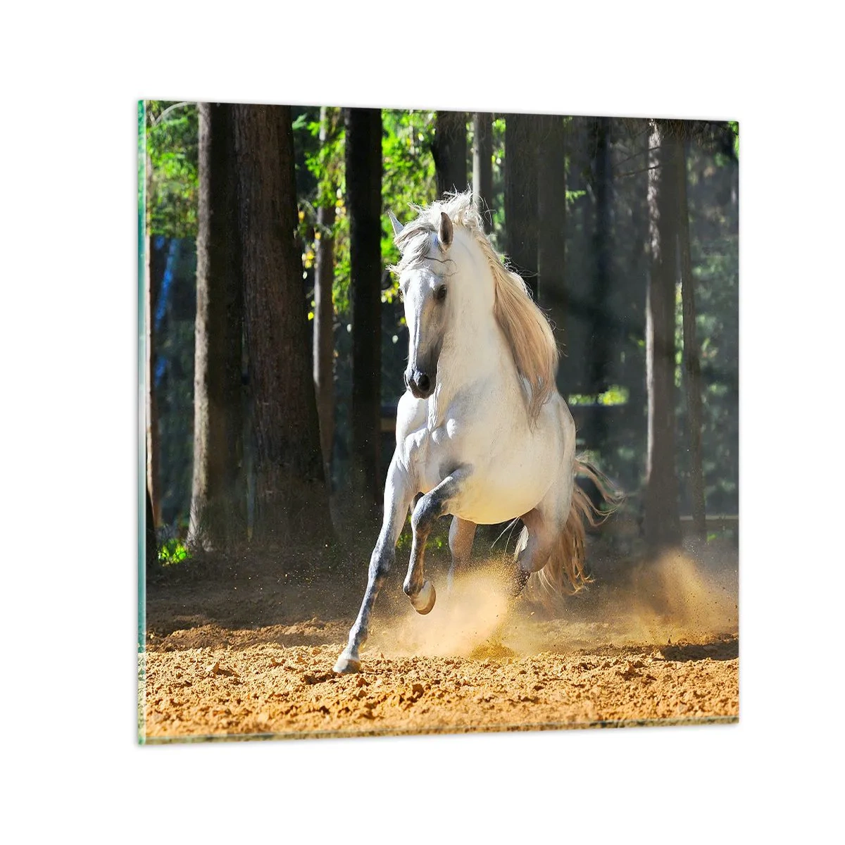 Üveg kép - Mint egy fantasy regényből - 40x40 cm