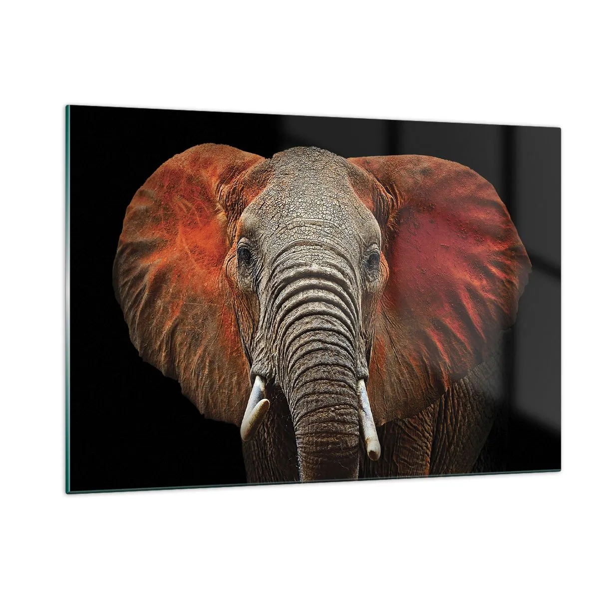 Üveg kép - Én vad vagyok, és te? - 120x80 cm