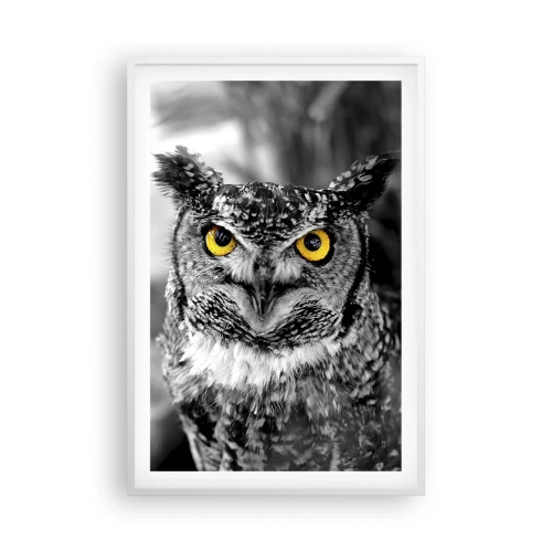 Poszter fekete keretben - Semmi sem fog elbújni - 61x91 cm