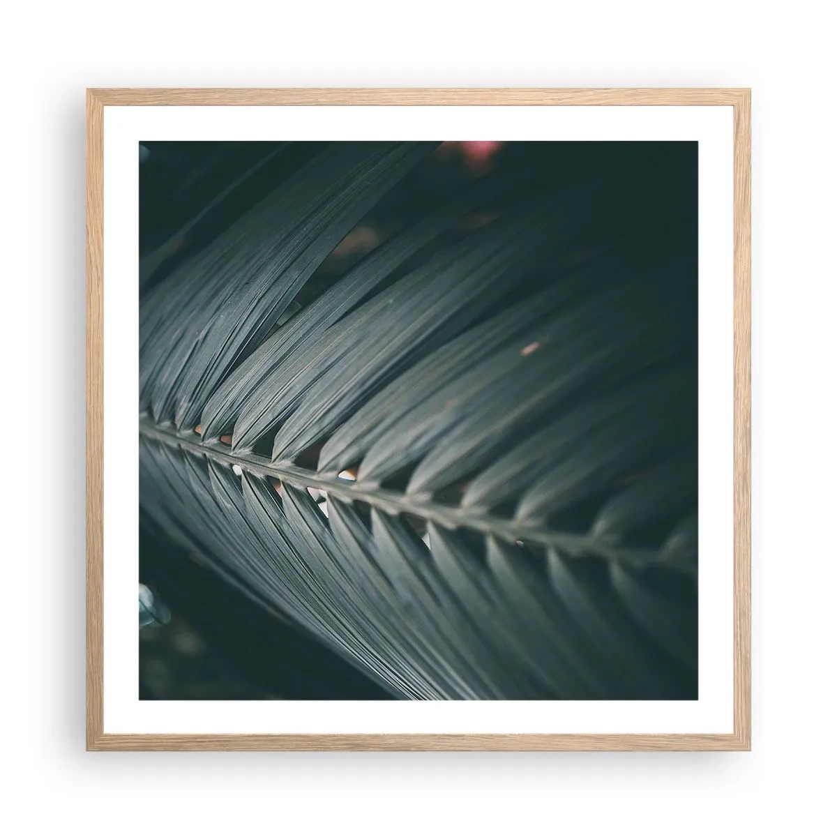 Poszter világos tölgy keretben - A természet pontossága - 60x60 cm