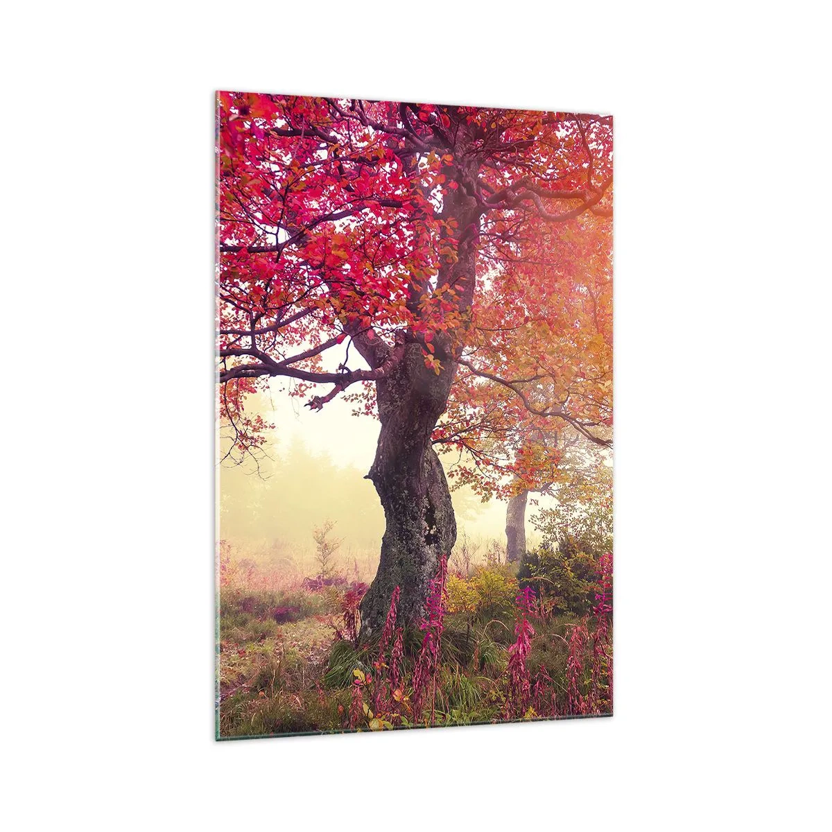 Üveg kép - Virágzás őrülete - 70x100 cm