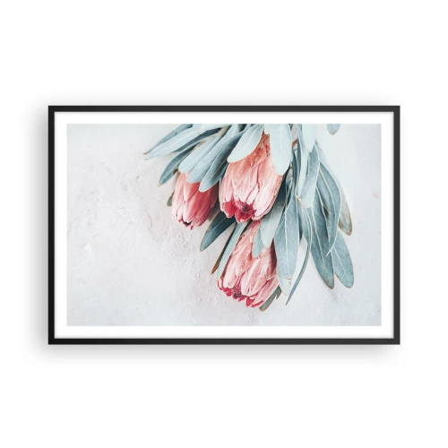 Poszter fehér keretben - Szégyellve saját szépségüket - 91x61 cm