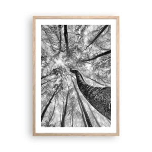 Poszter világos tölgy keretben - Verseny a fény felé - 50x70 cm