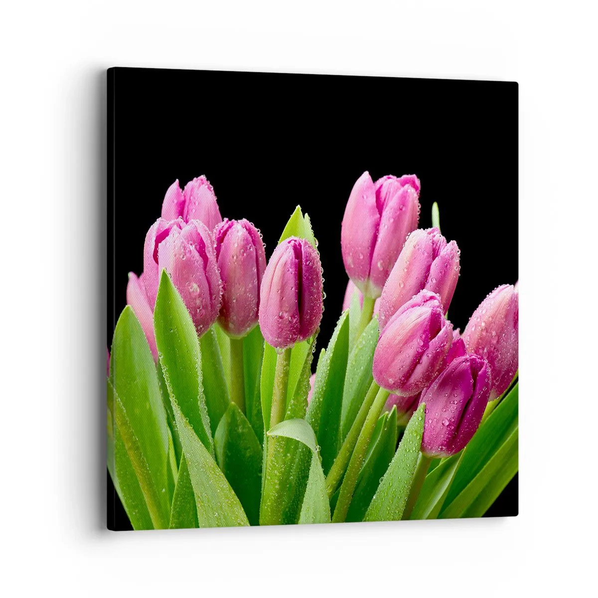 Vászonkép - Lila tavaszi öröm - 40x40 cm