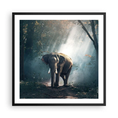 Poszter fehér keretben - Nyugodt séta - 60x60 cm