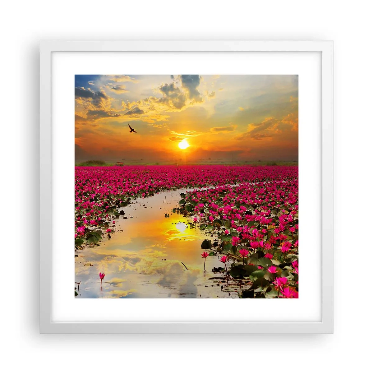 Poszter fekete keretben - A tó titokzatos élete - 40x40 cm