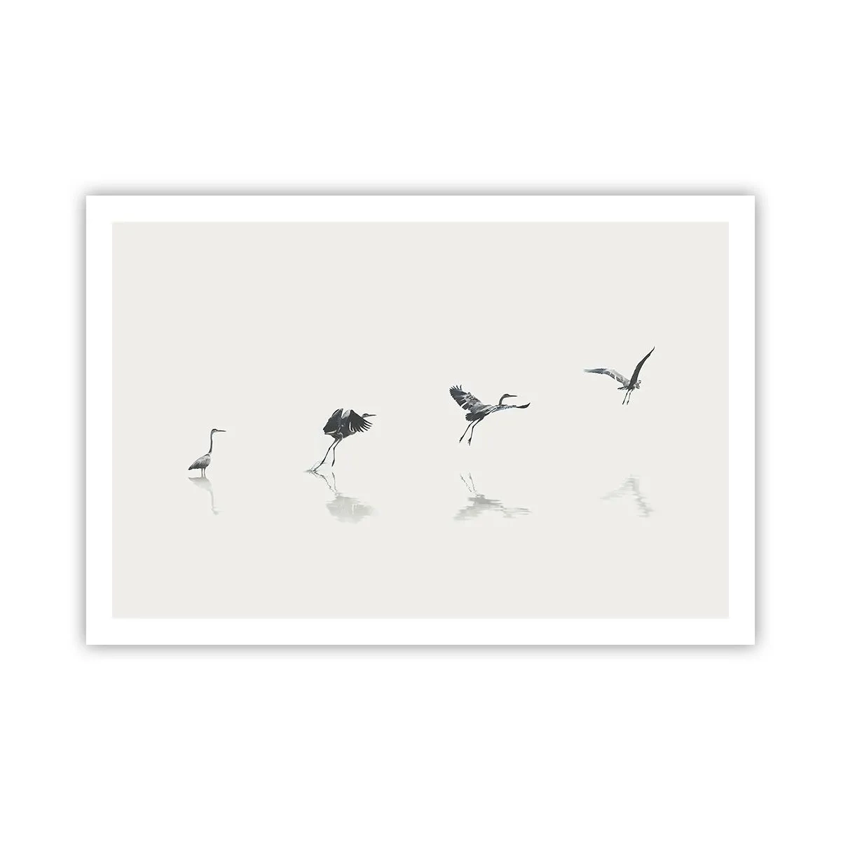 Poszter - Négy egyszerű lépés - 91x61 cm