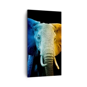 Vászonkép - Excentrikus, nem különc - 45x80 cm