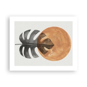 Poszter - Mindig a nap - 50x40 cm