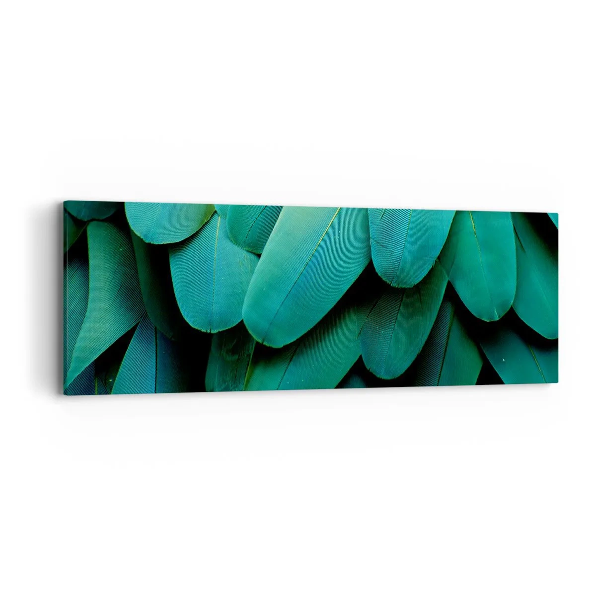 Vászonkép - A papagájtermészet precizitása - 90x30 cm