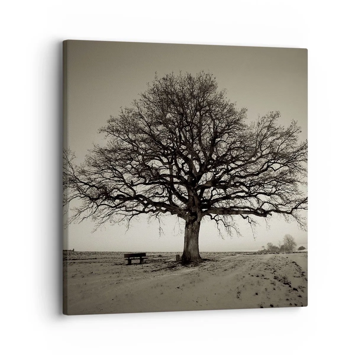 Vászonkép - Innen az örökkévalóságig - 30x30 cm